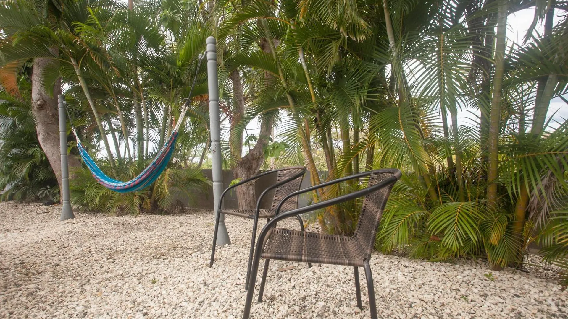 Casa Loba Suite 4 With Private Pool Rincon Porto Rico